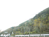 271220-5.JPG
