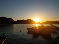 290423-3.JPG