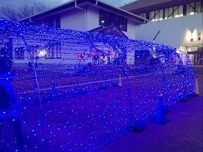 291215-8.JPG