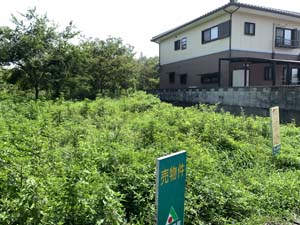 020805-47.jpg