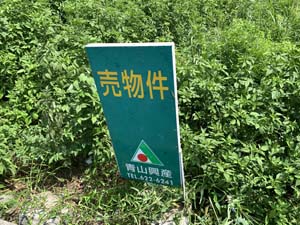 020805-54.jpg