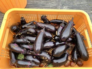 021004-32.jpg