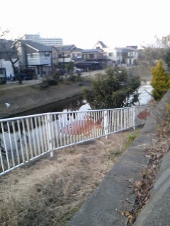 111229_1609~01.jpg