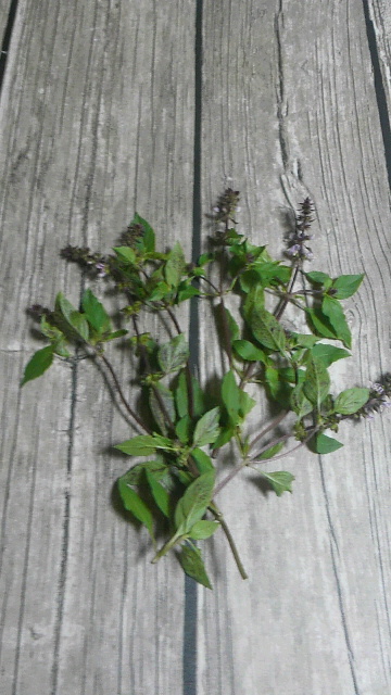 2014091622070000.jpg