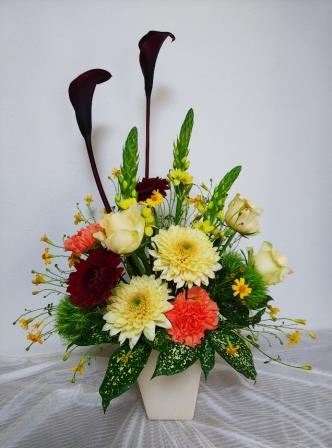 201810311.jpg