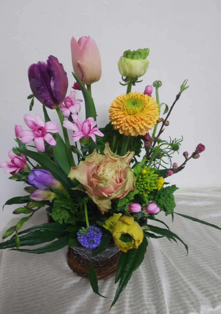 IMG_20200223_091634.jpg