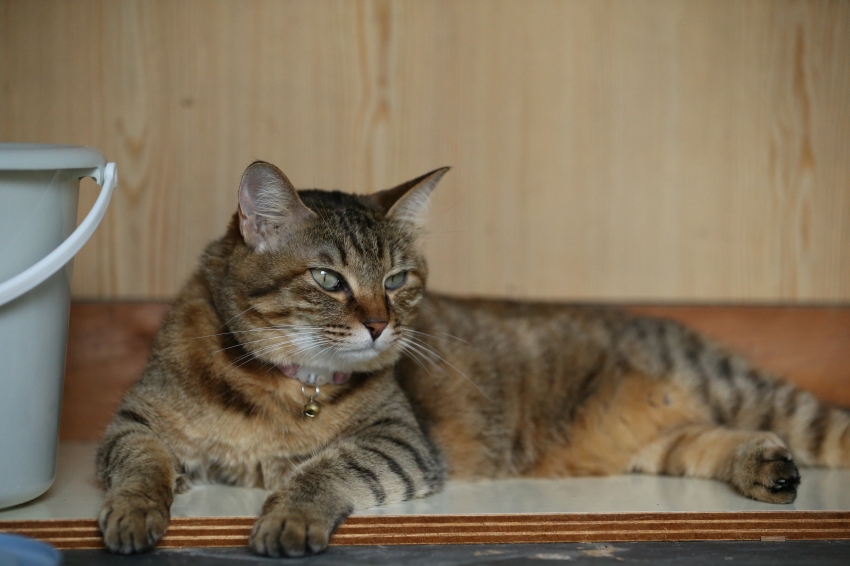 BT6R7893.JPG