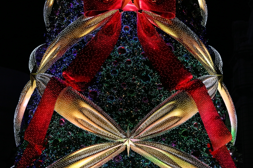 IMG_7787.JPG