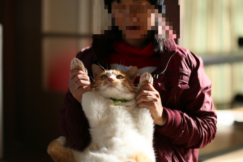 IMG_7915 ブログ用.jpg