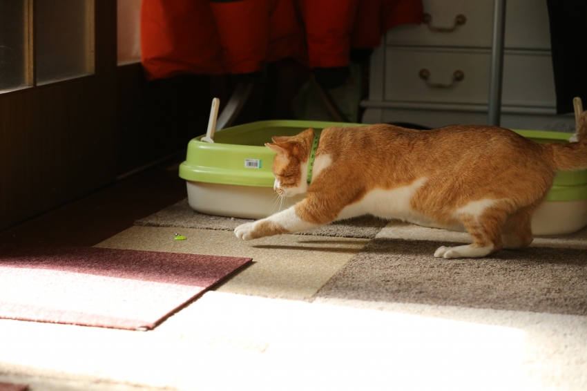 BT6R7083.JPG