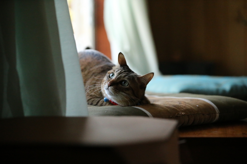 BT6R7429.JPG