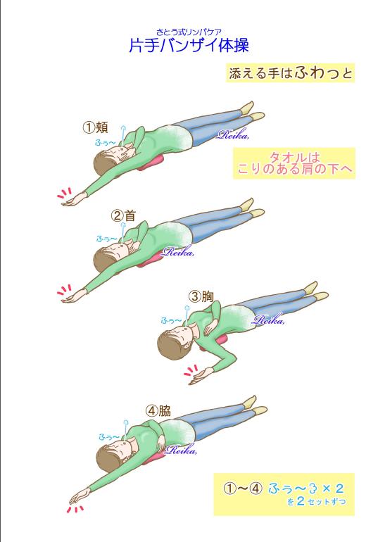 ÊÒ¼ê¥Ð¥ó¥¶¥¤ÂÎÁà