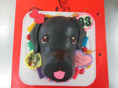 犬の顔型ケーキ はりまやblog 似顔絵ケーキ イラストケーキ 立体ケーキなど