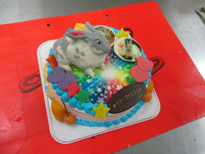 ウサギの立体ケーキ はりまやblog 似顔絵ケーキ イラストケーキ 立体ケーキなど