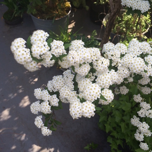 blog0612_04.jpg