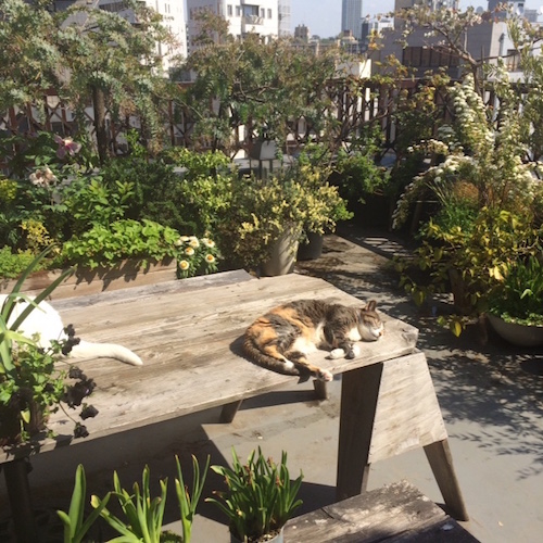 blog0612_05.jpg