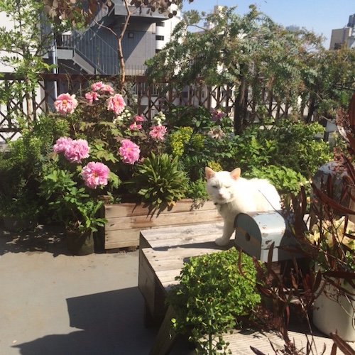 blog0612_06.jpg