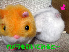 Ì£