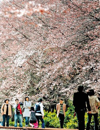 20080331chinkai2