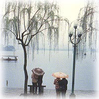 蘇堤雨風景