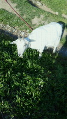 201104181638000.jpg