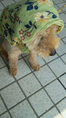 201105171138002.jpg