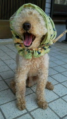 201105171139000.jpg