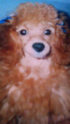 201106030733000.jpg