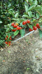 201106041316000.jpg