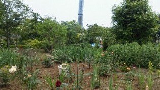 201106041325000.jpg
