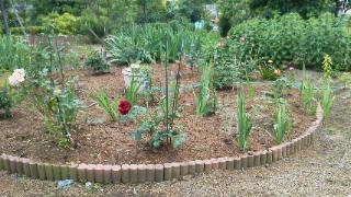201106041325001.jpg