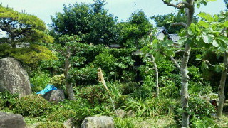 201106231359000.jpg
