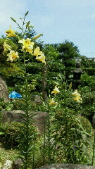 201106231357000.jpg