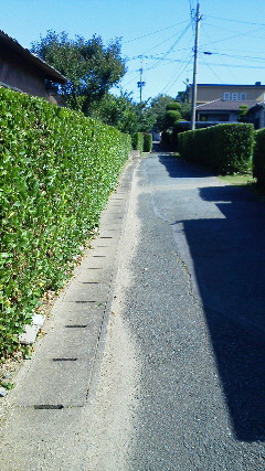201106241534000.jpg