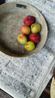 201106251607000.jpg