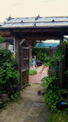 201106251609000.jpg