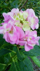 201106251610000.jpg