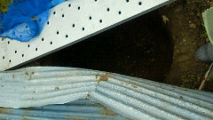 201106261553000.jpg