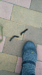 201106261603000.jpg