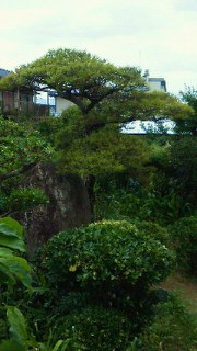 201106261633000.jpg
