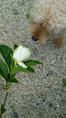 201106261810000.jpg