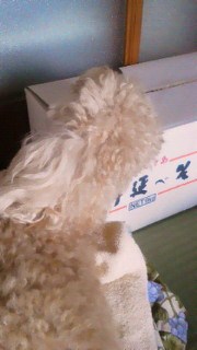 201106261330000.jpg