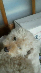201106261330001.jpg
