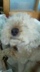 201106261331000.jpg
