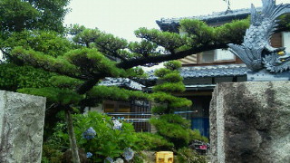 201107011042001.jpg