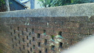 201107091601000.jpg