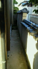 201107091816000.jpg