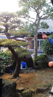 201107091852000.jpg