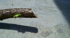 201107121257000.jpg