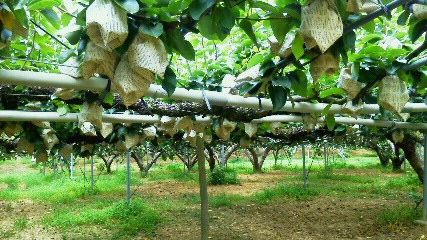 201107181213000.jpg